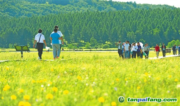 塞罕壩機械林場碳排放權(quán)交易總額可達3000多萬元