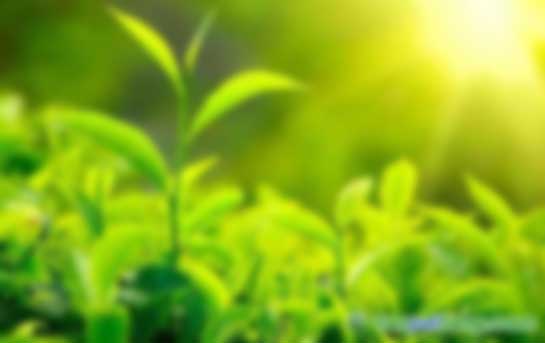 CER與VER減排項目有哪些區(qū)別？