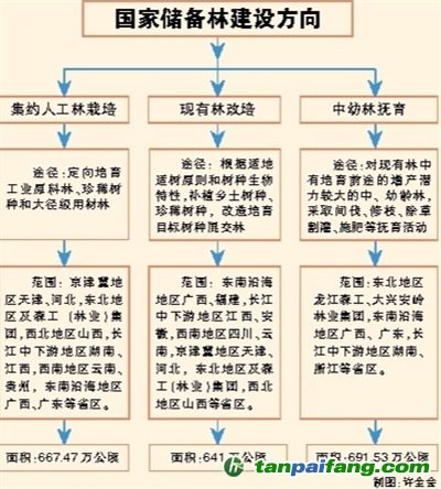 國家儲備林，儲備我們的未來