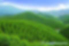 林業(yè)碳匯林補(bǔ)貼騙局是怎么回事兒？