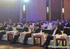 2019中國綠色城市指數(shù)TOP50發(fā)布，哪些城市是綠色標桿？