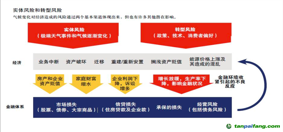 圖3 來(lái)源：國(guó)際貨幣基金組織（IMF）