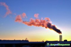 人社部碳交易師和碳排放管理師哪個好？證書有用嗎？再哪里報考的官方報名入口來了