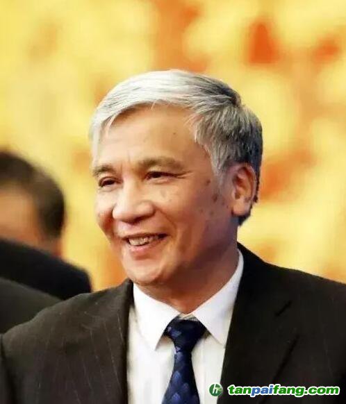 全國(guó)人大常委會(huì)副委員長(zhǎng)丁仲禮：中國(guó)碳中和，可這樣“四步走”！
