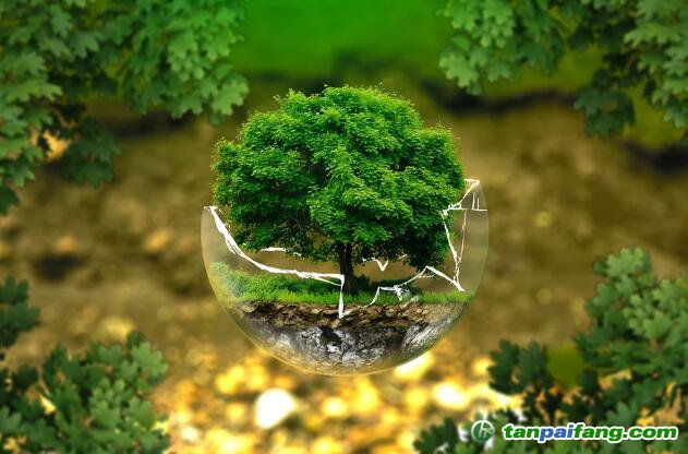 碳排放管理師證書考出來可以做哪些什么樣的工作？工資薪水能給多少錢？