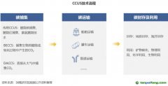 2022 年中國碳捕集、利用與封存（CCUS）洞察報(bào)告
