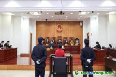 碳匯修復(fù)，解鎖生態(tài)司法綠色基因