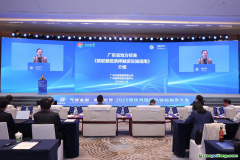 在廣東，碳配額抵質(zhì)押融資有了地方標(biāo)準(zhǔn)