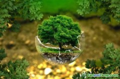 控排企業(yè)碳資產(chǎn)管理代運營：配額籌劃、合規(guī)化改造等數(shù)據(jù)優(yōu)化、碳交易金融化思維