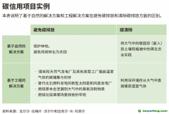 企業(yè)領(lǐng)導(dǎo)者為什么必須了解碳信用額？