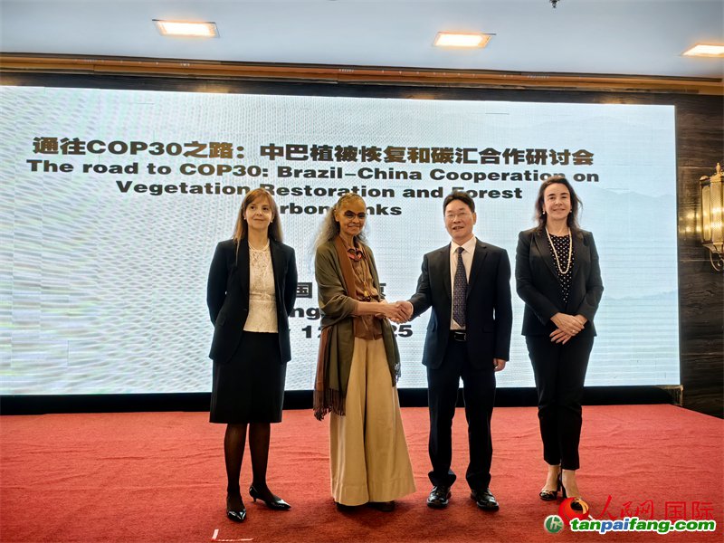 中國國家林業(yè)和草原局副局長李云卿（右二）、巴西環(huán)境和氣候變化部部長瑪麗娜·席爾瓦（左二）、巴西財(cái)政部副部長羅熙丹（右一）、巴西駐華大使館公參樂美（左一）出席“通往COP30之路：中巴植樹造林和碳匯合作研討活動”。人民網(wǎng)記者 符園園攝