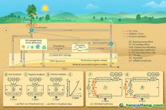微生物碳利用效率高會抑制土壤固碳