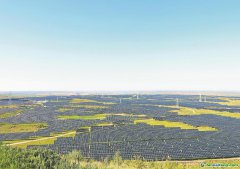 內(nèi)蒙古：逐綠而行 促進(jìn)碳市場(chǎng)高質(zhì)量發(fā)展