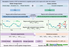 近20年中國森林管理經(jīng)濟(jì)有效地增加了陸地碳匯