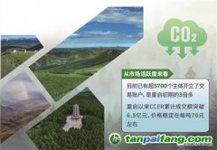 碳匯成“金” 育綠向“新”